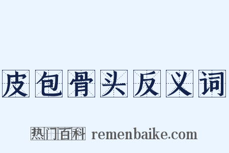 皮包骨头反义词是什么意思的图片